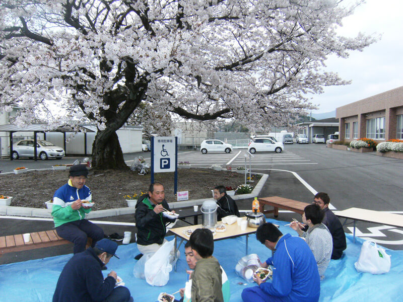 桜の木の下